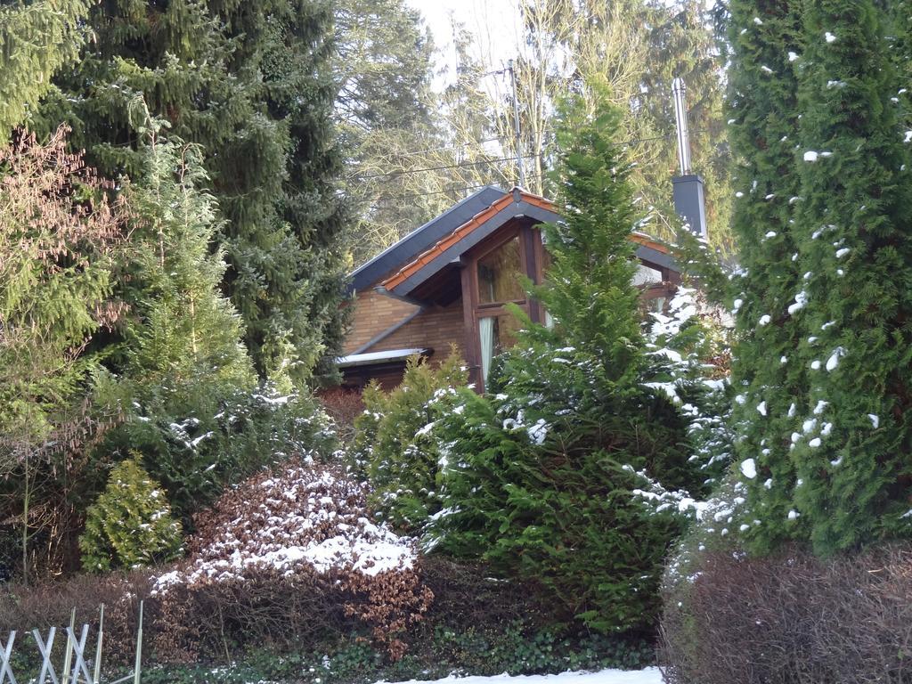 Ferienhaus "Kleiner Onkel" Honerath Bagian luar foto