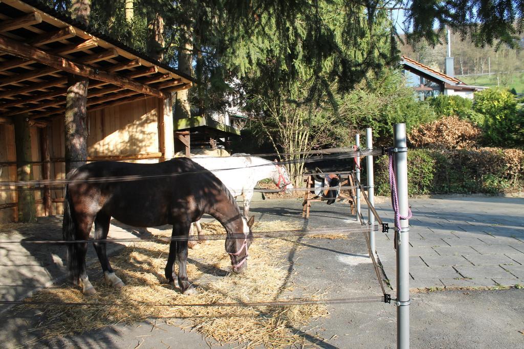Ferienhaus "Kleiner Onkel" Honerath Bagian luar foto